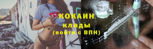 ГАЛЛЮЦИНОГЕННЫЕ ГРИБЫ Осташков