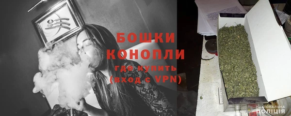 ГАЛЛЮЦИНОГЕННЫЕ ГРИБЫ Осташков