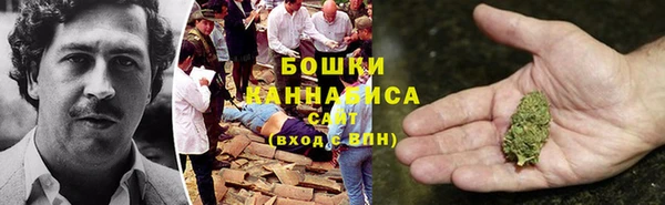 ГАЛЛЮЦИНОГЕННЫЕ ГРИБЫ Осташков